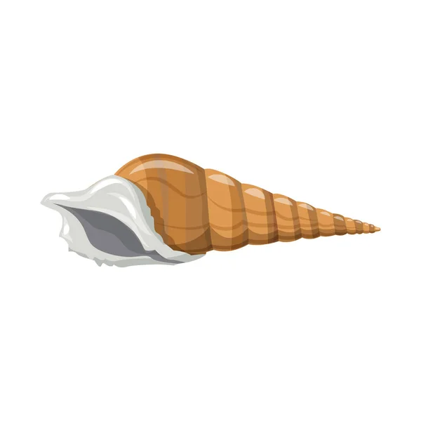 Vektor design av snäckor och mollusk tecken. Insamling av snäckor och skaldjur Stock Vector illustration. — Stock vektor