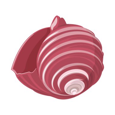 Deniz kabuğu ve yumuşakça simgesi yalıtılmış nesne. Hisse senedi için deniz kabuğu ve deniz ürünleri vektör simge topluluğu.