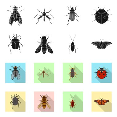Böcek ve sinek logo vektör tasarımı. Web için böcek ve öğe hisse senedi simgesi kümesi.
