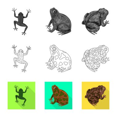 Vahşi yaşam ve bataklık logosunun vektör çizimi. Stok için yaban hayatı ve sürüngen vektör simgesi koleksiyonu.