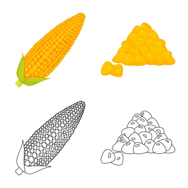 Oggetto isolato di campo di grano e logo vegetale. Set di campo di grano e stock simbolo vegetariano per il web . — Vettoriale Stock