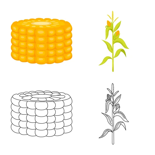 Vectorillustratie van cornfield en plantaardige teken. Set cornfield en vegetarische vector pictogram voor voorraad. — Stockvector