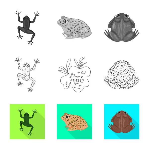 Geïsoleerd object van wilde dieren en moeras pictogram. Set van wild-en reptielenbestand symbool voor web. — Stockvector