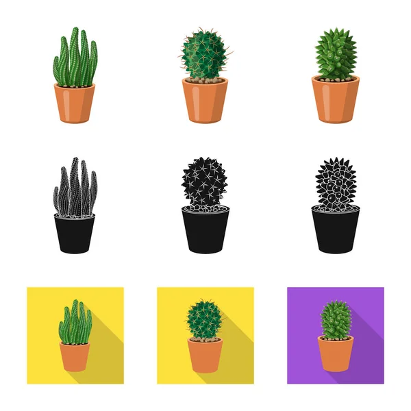 Objeto aislado de cactus y símbolo del pote. Colección de cactus y cactus símbolo de stock para web . — Archivo Imágenes Vectoriales