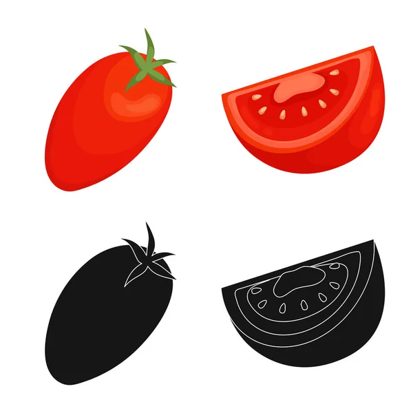 Ilustración vectorial de vegetales y delicioso logotipo. Colección de icono de vector vegetal y natural para stock . — Archivo Imágenes Vectoriales