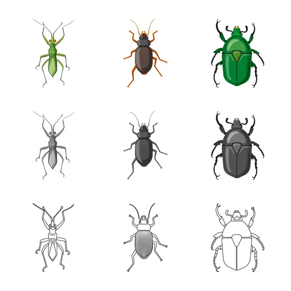 Vector ontwerp van insecten en vliegen teken. Set insect en element aandelensymbool voor web. — Stockvector