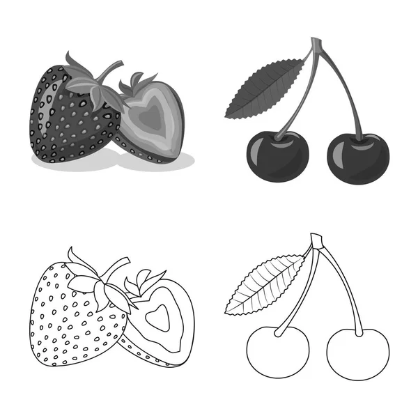 Objet isolé de légume et de fruit logo. Ensemble de légumes et végétarien symbole de stock pour la toile . — Image vectorielle