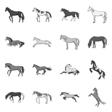 Binicilik ve mustang işareti vektör tasarımı. Web için binicilik ve binicilik stok sembolü koleksiyonu.