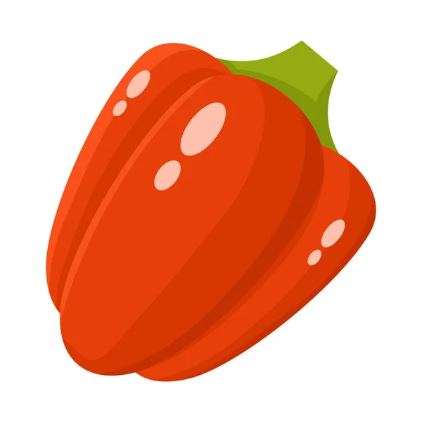 Vector design of pepper and ingredient sign. Set of pepper and cooking stock symbol for web. — Stock Vector