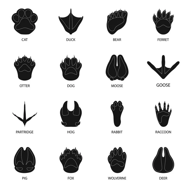 Vector design of feet and fauna icon. Set of feet and print stock vector illustration. Royalty Free Stock Illustrations