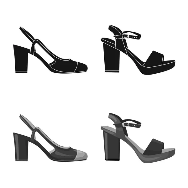 Ilustração vetorial de calçado e ícone de mulher. Conjunto de calçado e símbolo de estoque de pé de web . —  Vetores de Stock