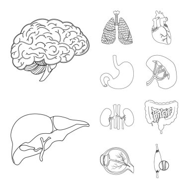 Vücut ve insan simge vektör tasarımı. Vücut ve tıbbi hisse senedi vektör çizim koleksiyonu.