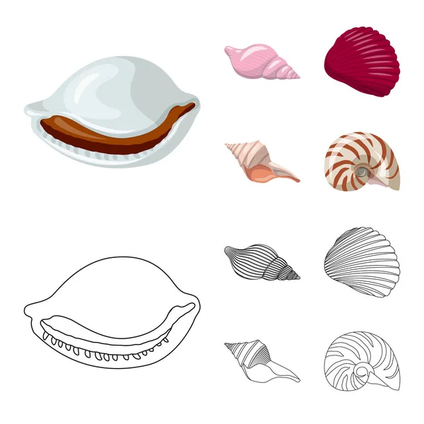 Vector ontwerp van dier en decoratie teken. Collectie van dier en Oceaan voorraad vectorillustratie. — Stockvector