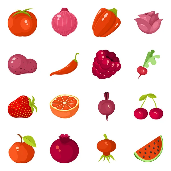 Isolated object of vegetable and food symbol. Collection of vegetable and ripe vector icon for stock.