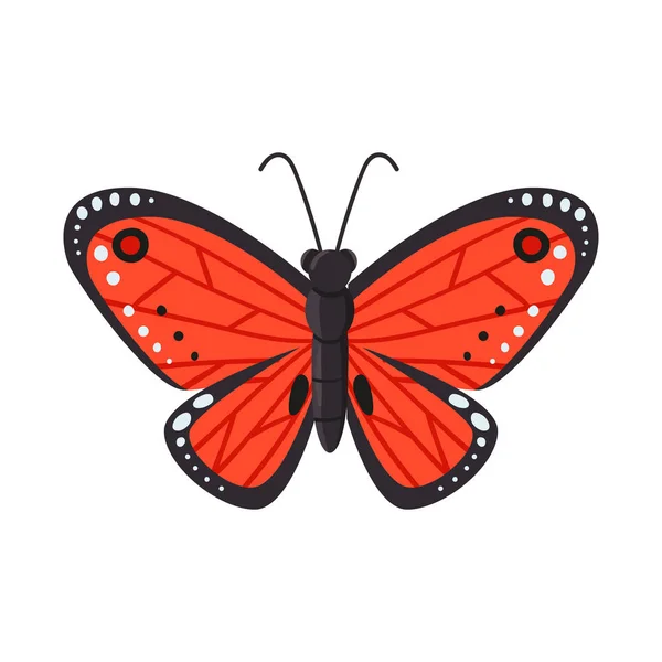 Vektorillustration von Schmetterling und rotem Symbol. Satz von Schmetterlings- und Artenstammsymbol für das Netz. — Stockvektor