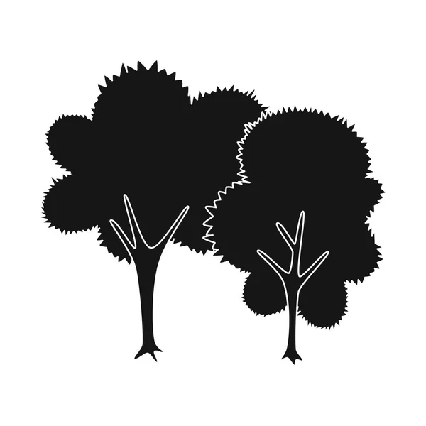 Vektordesign von Baum und Laubzeichen. Set aus Baum und grünem Aktiensymbol für Web. — Stockvektor