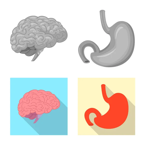 ベクトル図の体と人間のシンボル。体と web 医療株式記号のセット. — ストックベクタ