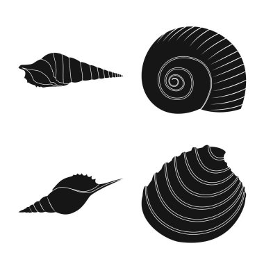 Doğa ve okyanus simgesinin vektör Illustration. Doğa ve yumuşakça stok vektör çizim koleksiyonu.