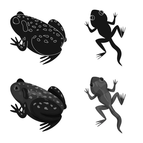 Ilustración vectorial de vida silvestre y signo de pantano. Colección de animales silvestres y reptiles símbolo de reserva para la web. — Archivo Imágenes Vectoriales