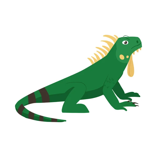 Objeto aislado de iguana e ícono de lagarto. Conjunto de iguana y colorido icono vectorial para stock . — Vector de stock
