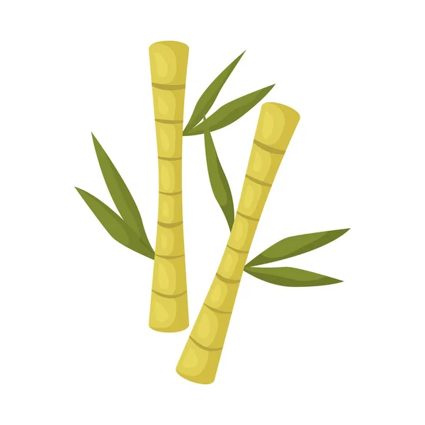 Bambu ve yeşil sembolüvektör tasarımı. Stok için bambu ve botanik vektör simgesi seti. — Stok Vektör
