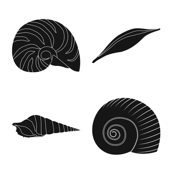 Geïsoleerd object van de natuur en Oceaan logo. Set van natuur en weekdieren Stock vector illustratie. — Stockvector