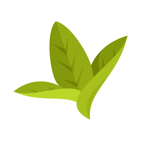 잎과 잎 로고의 벡터 디자인. 웹에 대한 잎과 식물 주식 기호의 컬렉션. — 스톡 벡터