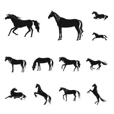 Fauna ve mare işareti vektör illüstrasyon. Stok için fauna ve aygır vektör simgesi koleksiyonu.