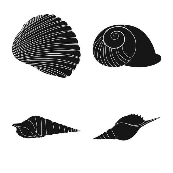 Vectorillustratie van aard en Oceaan symbool. Collectie van aard en weekdier aandelensymbool voor web. — Stockvector