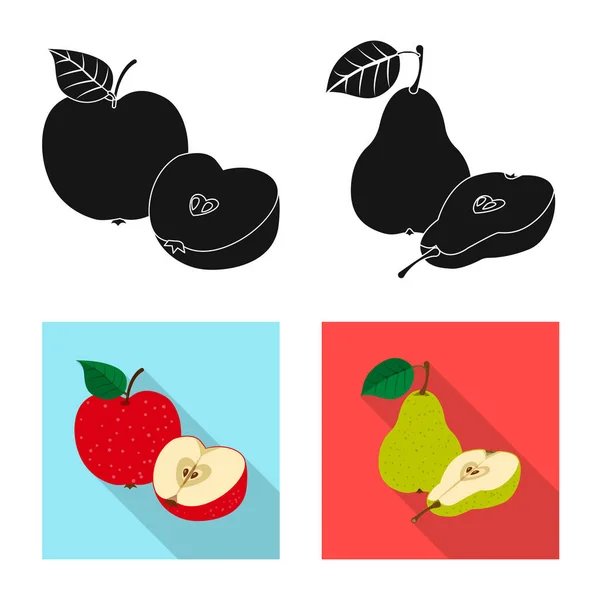 Objeto isolado de logotipo vegetal e frutícola. Coleção de símbolo de estoque vegetal e vegetariano de web . — Vetor de Stock