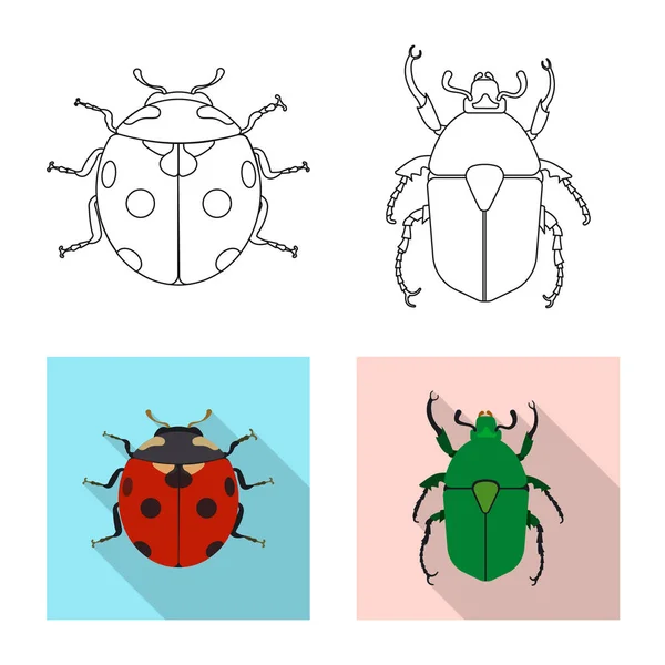Vektorillustration von Insekten- und Fliegensymbol. Set von Insekten- und Elementvektorsymbolen für Aktien. — Stockvektor