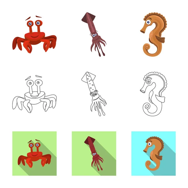 Diseño vectorial del icono del mar y los animales. Colección de símbolo de stock marino y marino para web . — Vector de stock