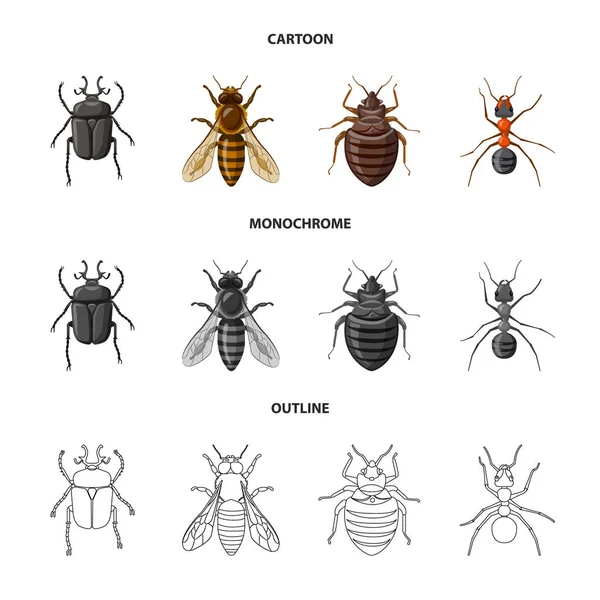 Objet isolé d'insecte et icône de mouche. Ensemble d'illustration vectorielle de stock d'insectes et d'éléments . — Image vectorielle