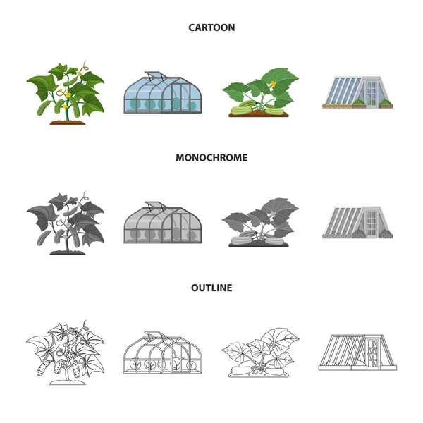 Diseño vectorial de invernadero y símbolo de planta. Colección de icono de vector de invernadero y jardín para stock . — Archivo Imágenes Vectoriales