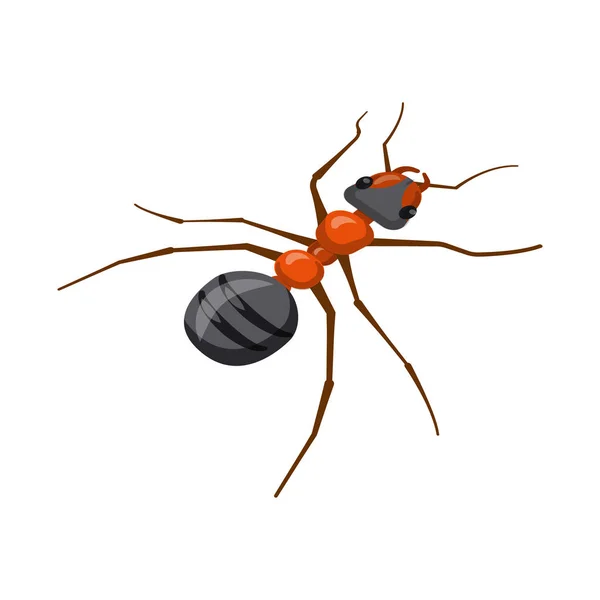 개미와 야생 기호의 벡터 디자인입니다. 웹 개미와 귀여운 주식 기호의 컬렉션. — 스톡 벡터
