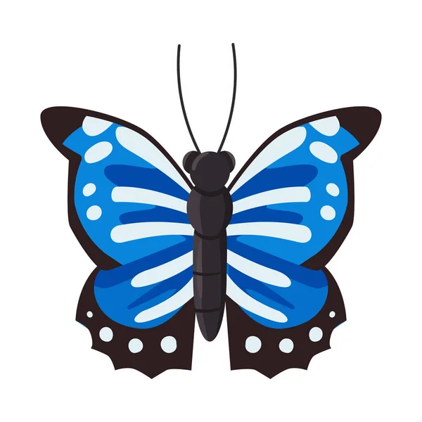 Vektor design av fjäril och skönhet tecken. Uppsättning av fjäril och Wildlife Stock vektor illustration. — Stock vektor