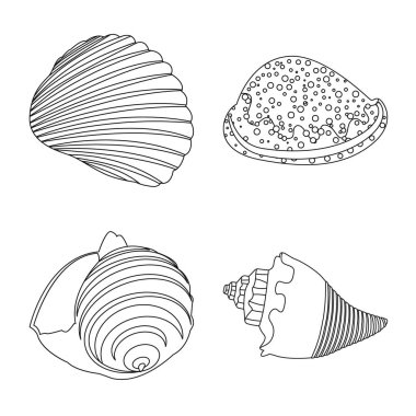Egzotik ve deniz ürünleri sembolü vektör illüstrasyon. Egzotik ve sucul stok vektör illüstrasyon seti.