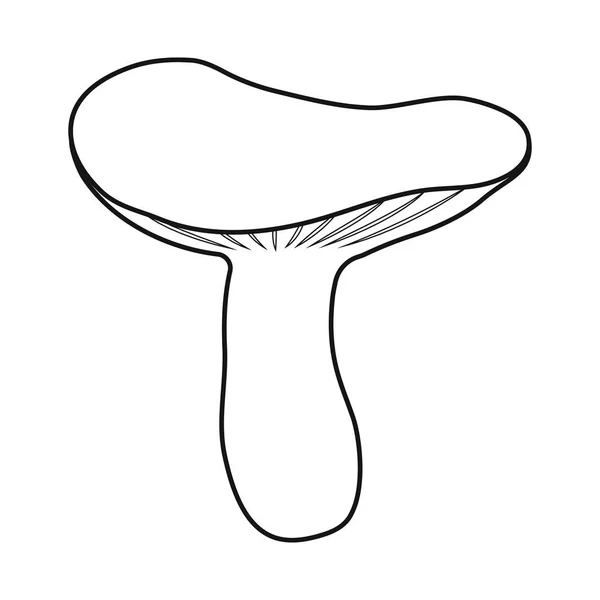 Illustrazione vettoriale di fungo e simbolo di russula. Set di funghi e illustrazione vettoriale del brodo estivo . — Vettoriale Stock