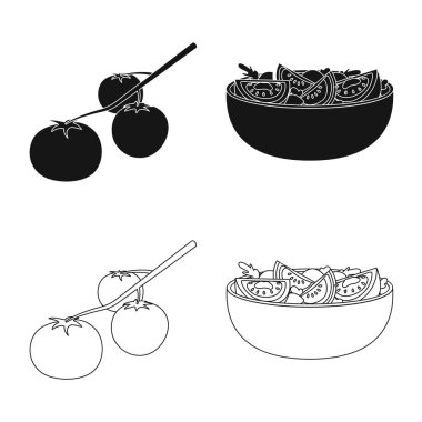 Bitkisel ve lezzetli işareti izole nesne. Sebze ve doğal stok vektör çizim seti.