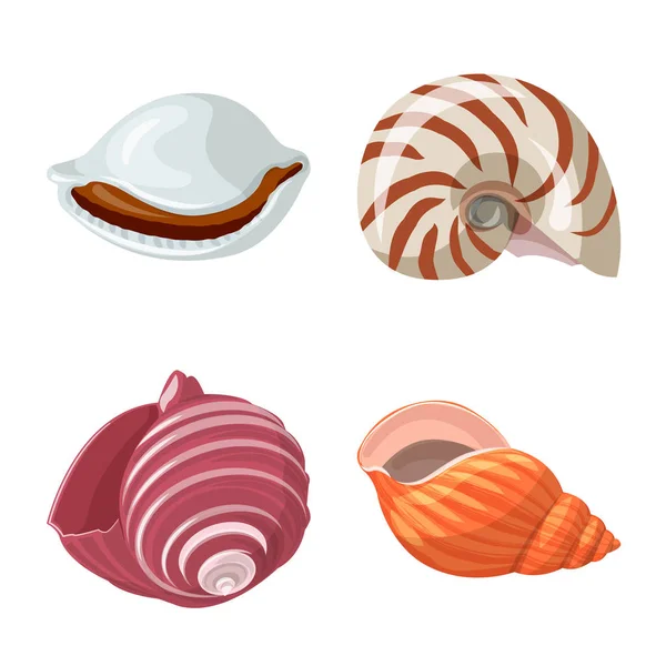 Vectorillustratie van seashell en weekdier logo. Reeks van de Zeeschelp en zeevruchten voorraad vectorillustratie. — Stockvector