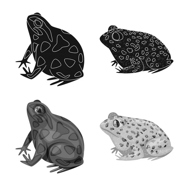 Vector ontwerp van wildlife en Bog logo. Collectie van wildlife en reptiel vector pictogram voor voorraad. — Stockvector