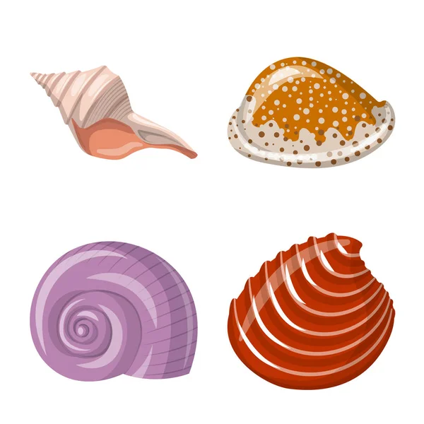 Vektordesign von Muschel und Weichtier-Symbol. Sammlung von Muscheln und Meeresfrüchten Vektor Illustration. — Stockvektor