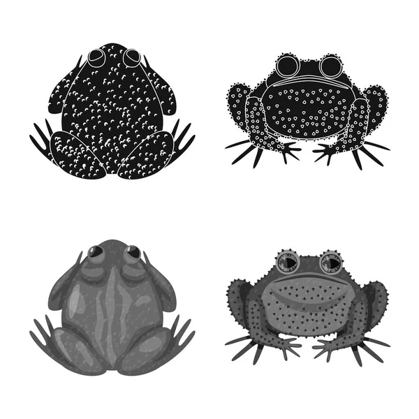 Vektorillustration von Wildtieren und Moorsymbolen. Set von Wildtieren und Reptilienbeständen für das Netz. — Stockvektor