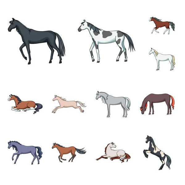 Isoleret objekt af dyr og hingst ikon. Indsamling af illustration af dyre- og husdyrbestand . – Stock-vektor