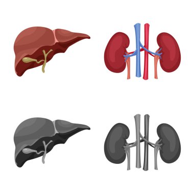 Vücut ve insan işareti yalıtılmış nesne. Vücut ve tıbbi hisse senedi vektör çizim.