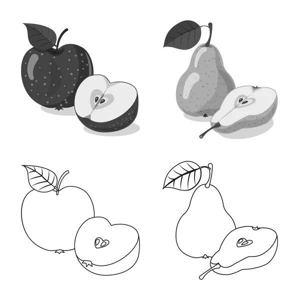 Векторная иллюстрация логотипа овощей и фруктов. Набор овощных и вегетарианских фондовых символов для паутины . — стоковый вектор