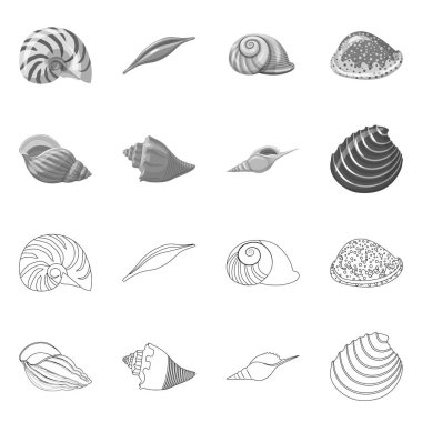 Hayvan ve dekorasyon simge vektör tasarımı. Web için hayvan ve okyanus hisse senedi simgesi kümesi.