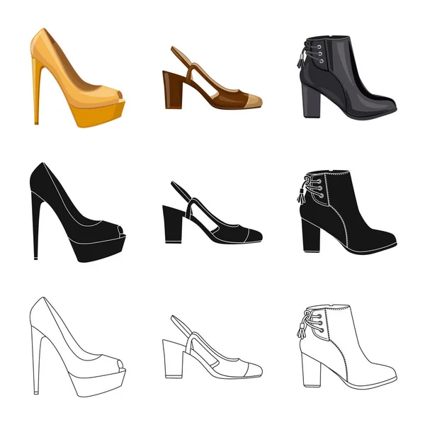 Diseño vectorial de calzado y mujer icono. Conjunto de calzado y pie stock vector ilustración . — Vector de stock