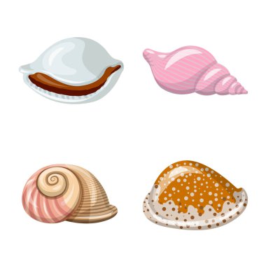 Deniz kabuğu ve yumuşakça sembolü vektör tasarımı. Deniz kabuğu ve deniz ürünleri stok vektör illüstrasyon koleksiyonu.