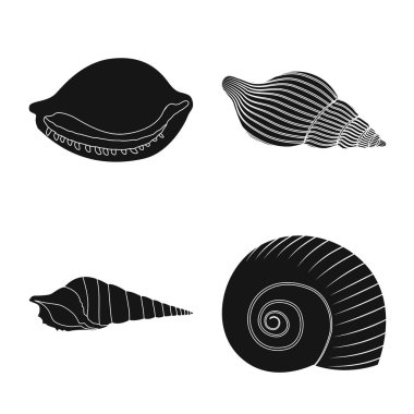 Doğa ve okyanus işareti vektör tasarımı. Doğa ve yumuşakça hisse senedi simgesi için web topluluğu.